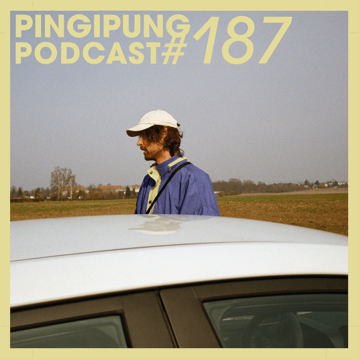 Pingipung