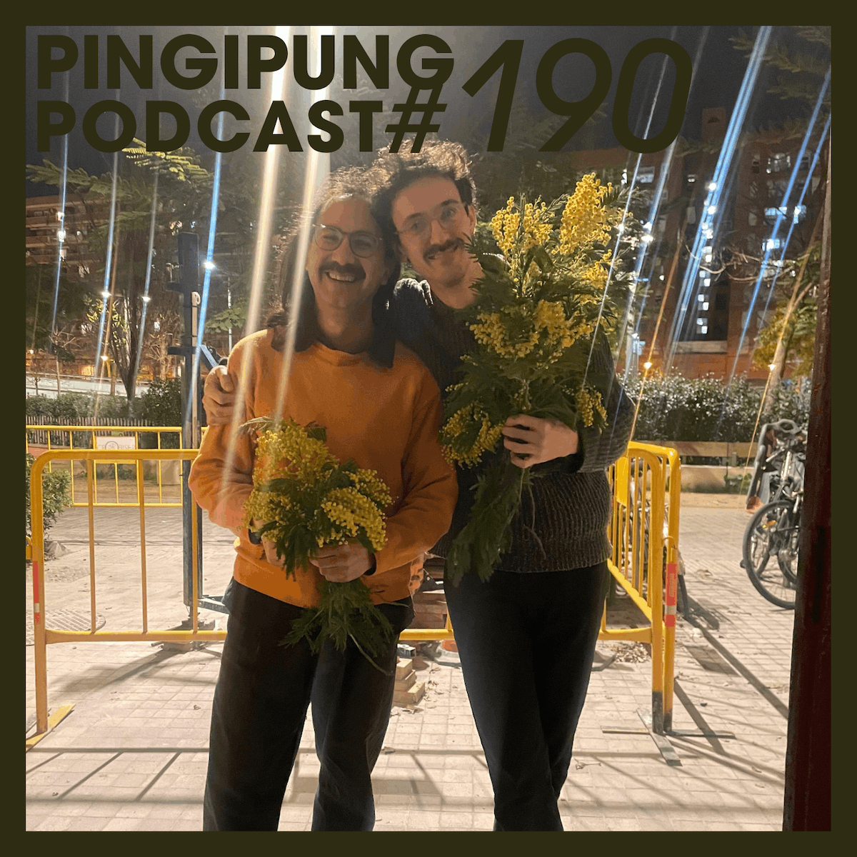 Pingipung